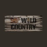 98.3 Wild Country – WKEA-FM